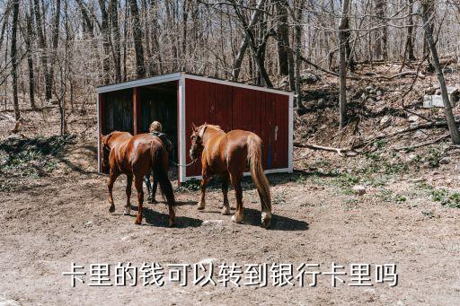 卡里的钱可以转到银行卡里吗