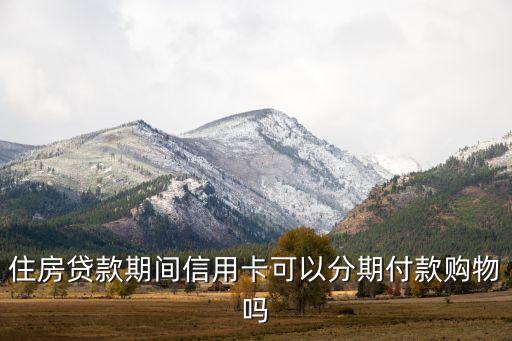住房贷款期间信用卡可以分期付款购物吗
