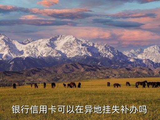 银行信用卡可以在异地挂失补办吗