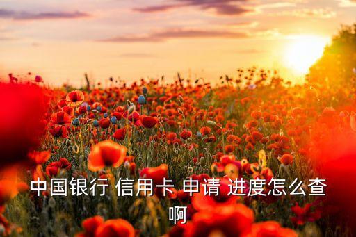 中国银行 信用卡 申请 进度怎么查啊