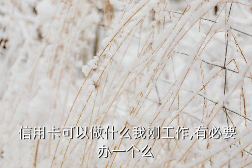 信用卡能干嘛申请,申请信用卡的联系人是干嘛的