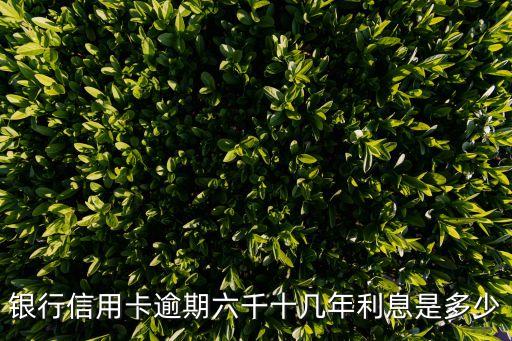 银行信用卡逾期六千十几年利息是多少
