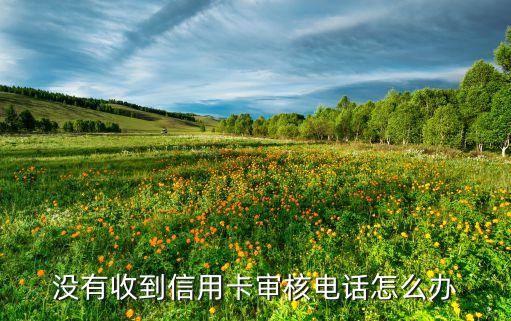 没有收到信用卡审核电话怎么办