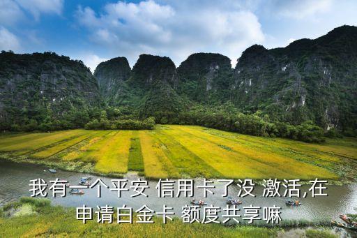 我有一个平安 信用卡了没 激活,在申请白金卡 额度共享嘛