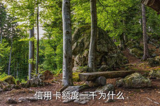 信用卡额度一千为什么