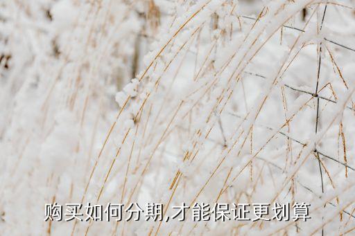 购买如何分期,才能保证更划算