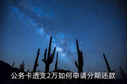 公务卡透支2万如何申请分期还款