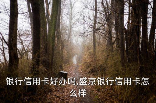 银行信用卡好办吗,盛京银行信用卡怎么样