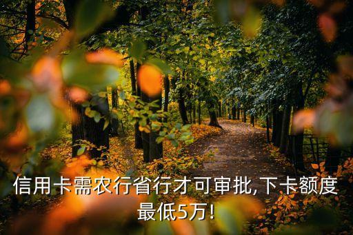 信用卡需农行省行才可审批,下卡额度最低5万!