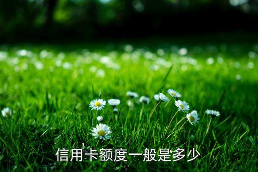 信用卡额度一般是多少