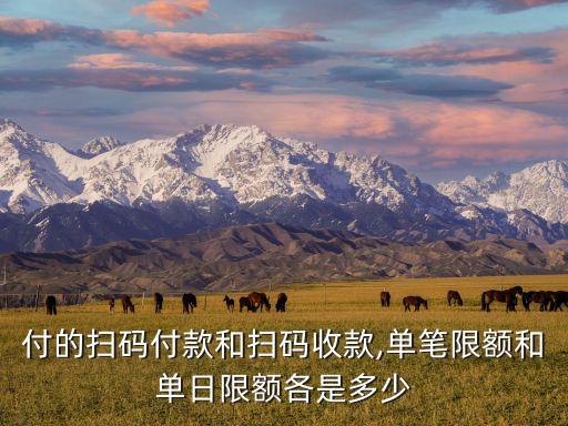 付的扫码付款和扫码收款,单笔限额和单日限额各是多少