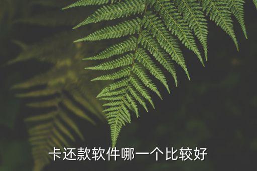 卡还款软件哪一个比较好