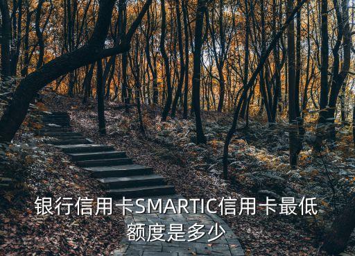 银行信用卡SMARTIC信用卡最低额度是多少