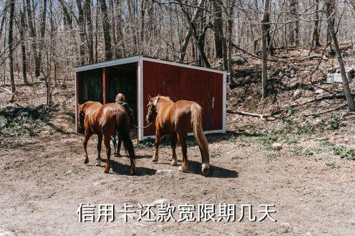 兴业信用卡可以延迟还款吗,信用卡延迟还款怎么算