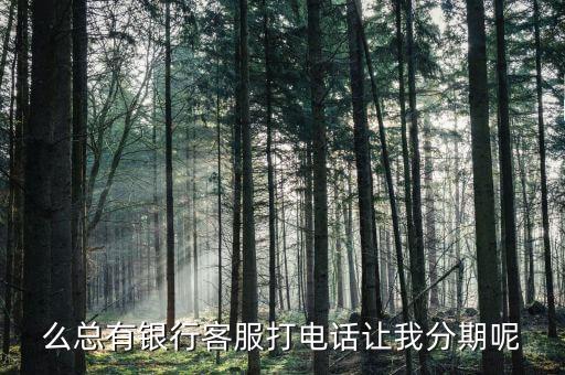 么总有银行客服打电话让我分期呢