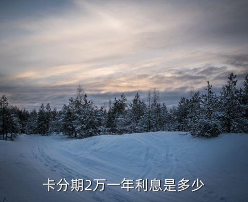 卡分期2万一年利息是多少