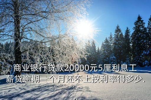 商业银行贷款20000元5厘利息工薪贷逾期一个月还不上按利率得多少...