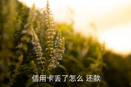  信用卡丢了怎么 还款