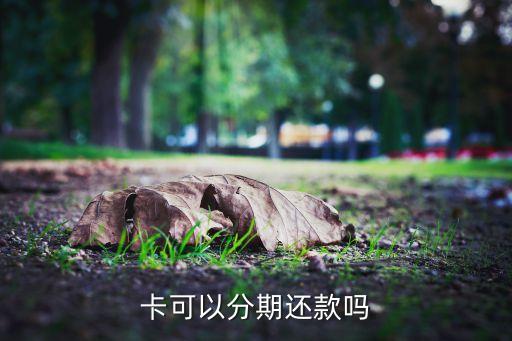信用卡最低还款后能否分期,用最低还款额还信用卡可以吗?