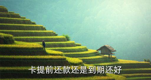 卡提前还款还是到期还好