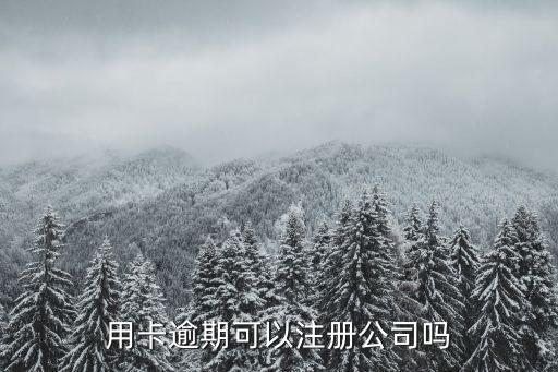 信用卡逾期可以注册公司么,欠信用卡可以注册公司吗?