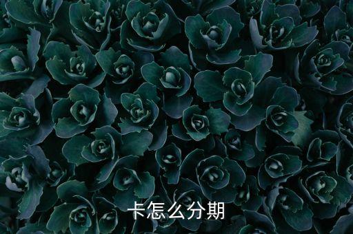 卡怎么分期