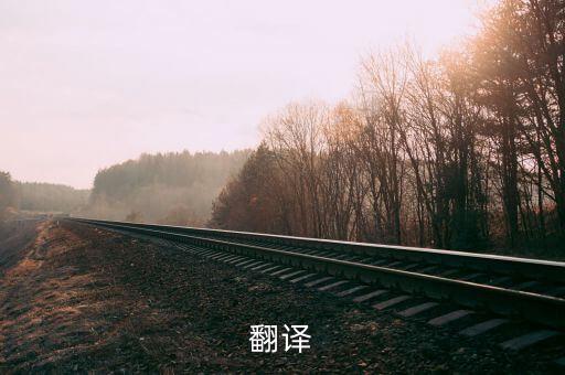 翻译