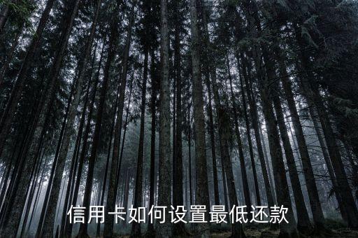 信用卡如何设置最低还款