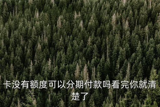 卡没有额度可以分期付款吗看完你就清楚了
