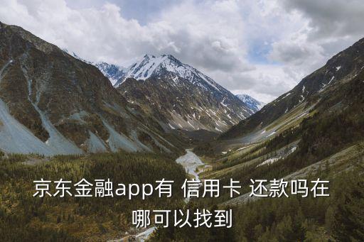 京东金融app有 信用卡 还款吗在哪可以找到