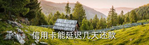 信用卡能延迟几天还款