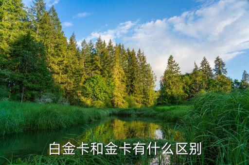 白金卡和金卡有什么区别