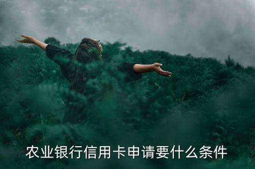 农业银行信用卡申请要什么条件