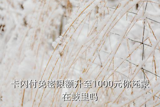 卡闪付免密限额升至1000元你还蒙在鼓里吗