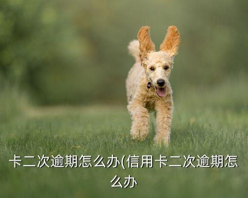 卡二次逾期怎么办(信用卡二次逾期怎么办