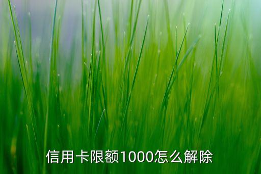 中信银行信用卡大额办理,如何提高中信银行信用卡额度
