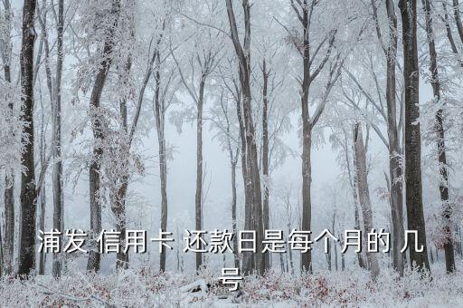浦发 信用卡 还款日是每个月的 几号