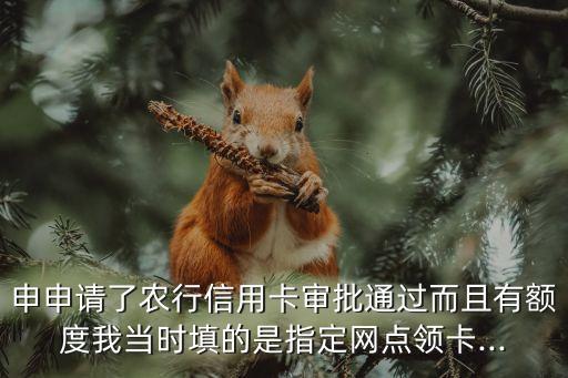 申申请了农行信用卡审批通过而且有额度我当时填的是指定网点领卡...