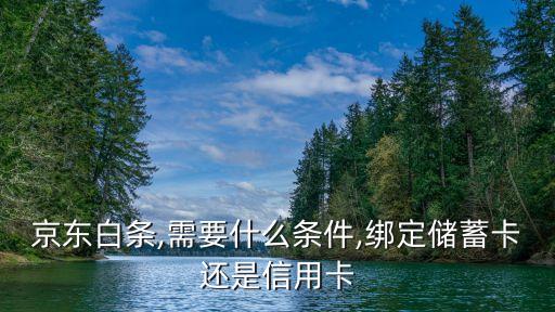 京东白条,需要什么条件,绑定储蓄卡还是信用卡
