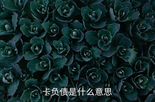 卡负债是什么意思