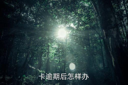 卡逾期后怎样办