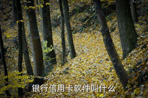 银行信用卡软件叫什么