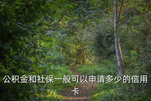 公积金和社保一般可以申请多少的信用卡
