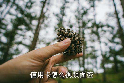 信用卡怎么视频面签