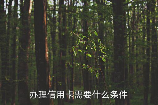 办理信用卡需要什么条件