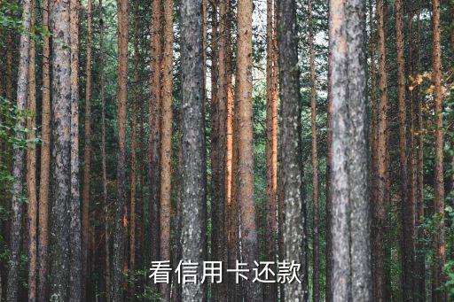 看信用卡还款