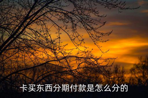 卡买东西分期付款是怎么分的