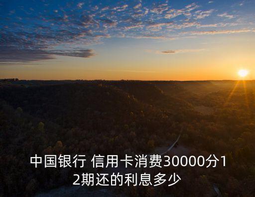 中国银行 信用卡消费30000分12期还的利息多少