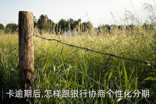 卡逾期后,怎样跟银行协商个性化分期