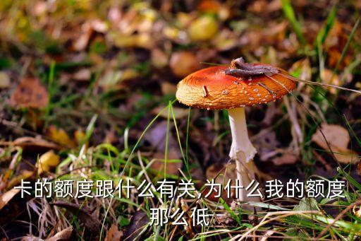 信用卡卡种跟额度有关系吗,信用卡额度跟什么有关